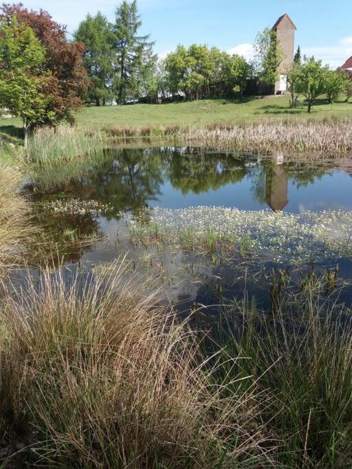 Moderne Wohnung Im Herzen Der Natur - Ingo'S Dream Babelin 外观 照片