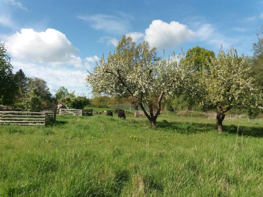 Moderne Wohnung Im Herzen Der Natur - Ingo'S Dream Babelin 外观 照片